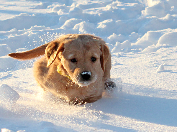 2013_day47_yellow_01.jpg